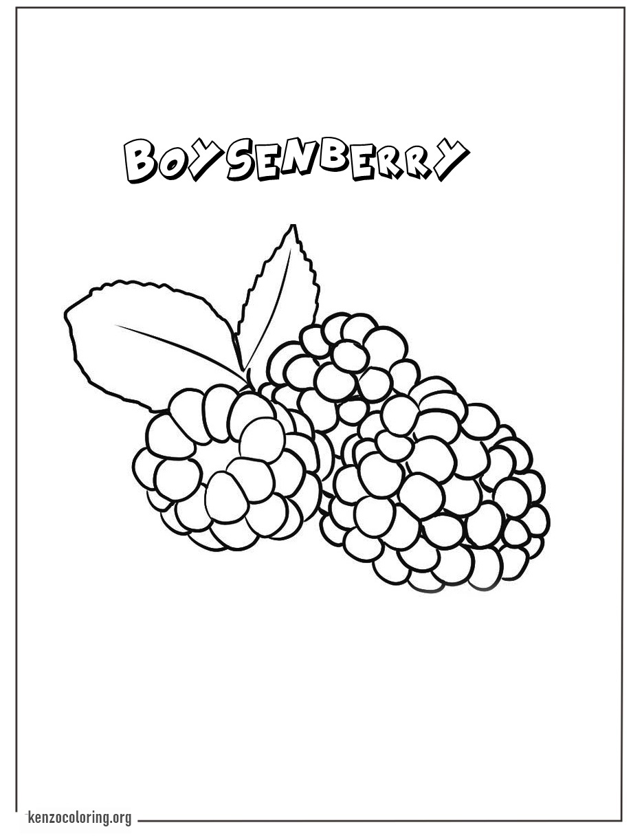 Boysenberry Coloring Pages 4 online boysenberry coloring page