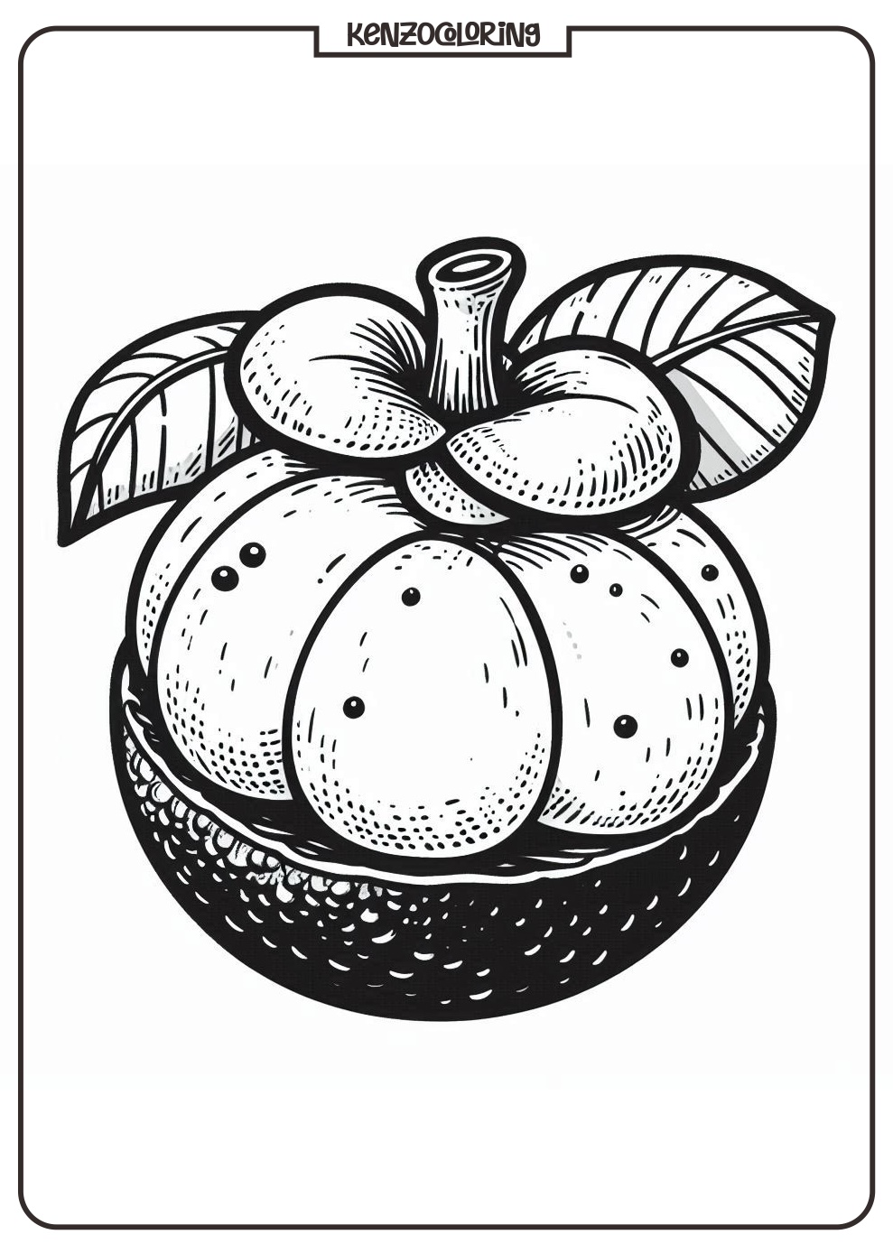 Sweet Purple Fruit, Mangosteen Coloring Page 3 online mangosteen for coloring print