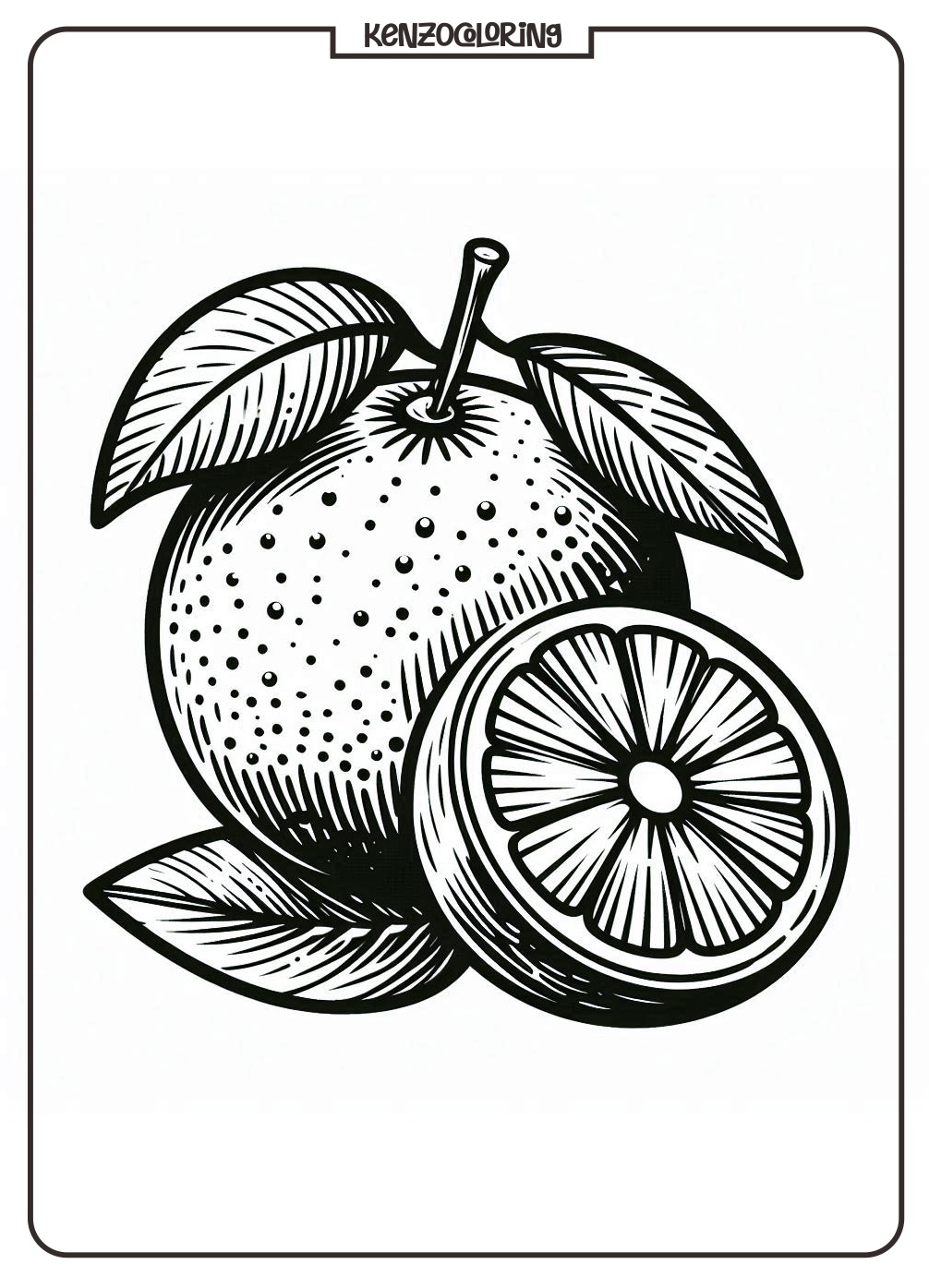 Popular Citrus Fruit, Orange Coloring Pages 4 orange fruit coloring pages