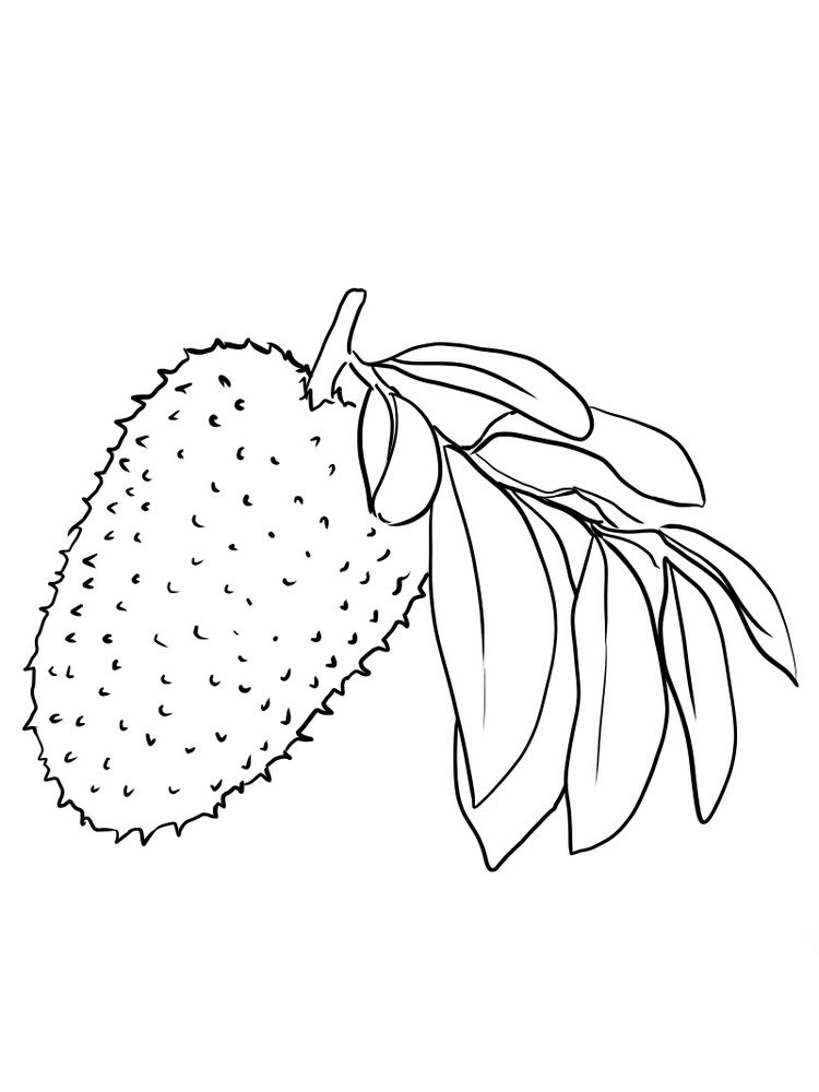 Soursop Coloring Page 1 printable soursop coloring pages print
