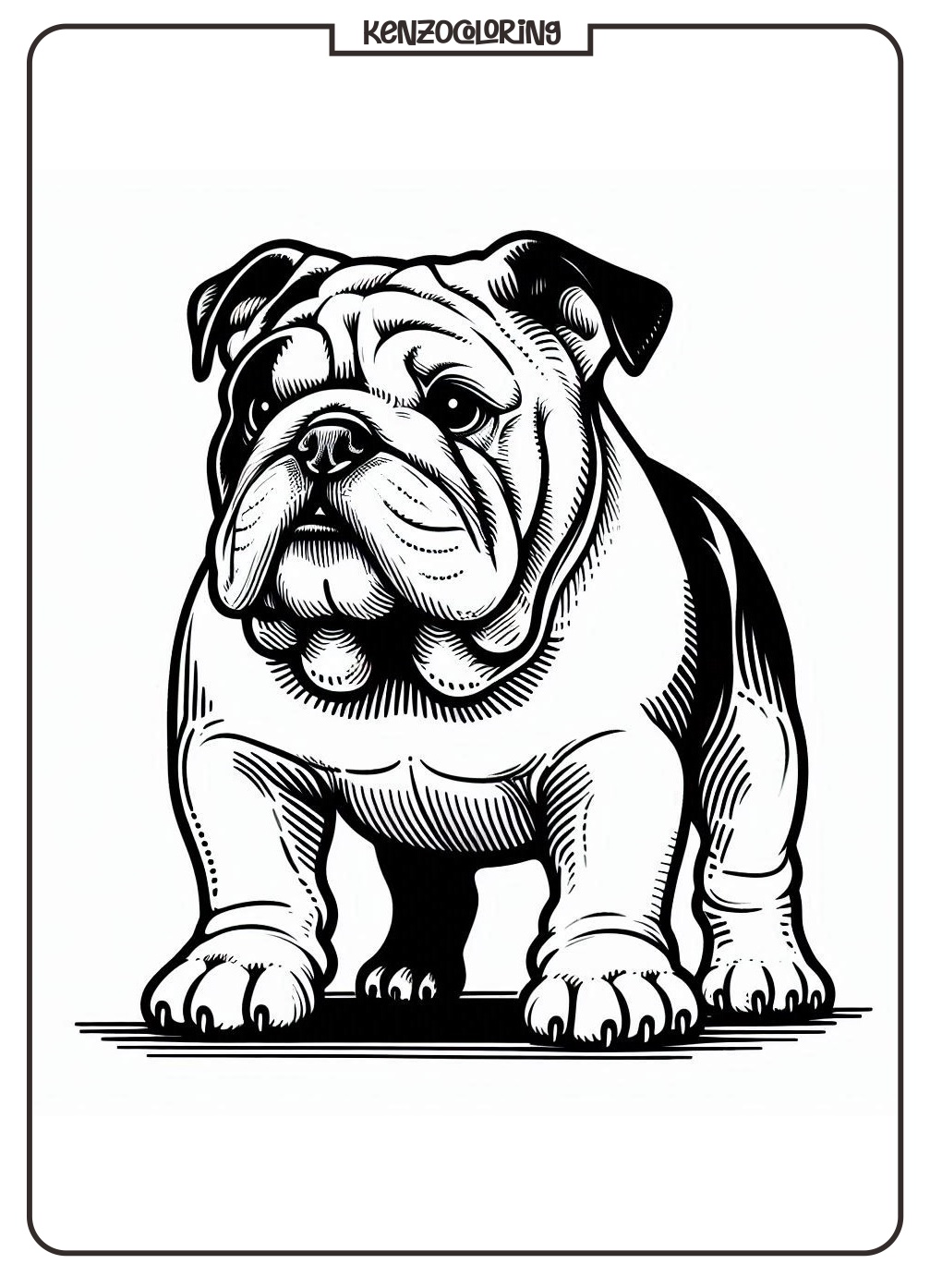 Bulldog Coloring Page - Kenzocoloring.org