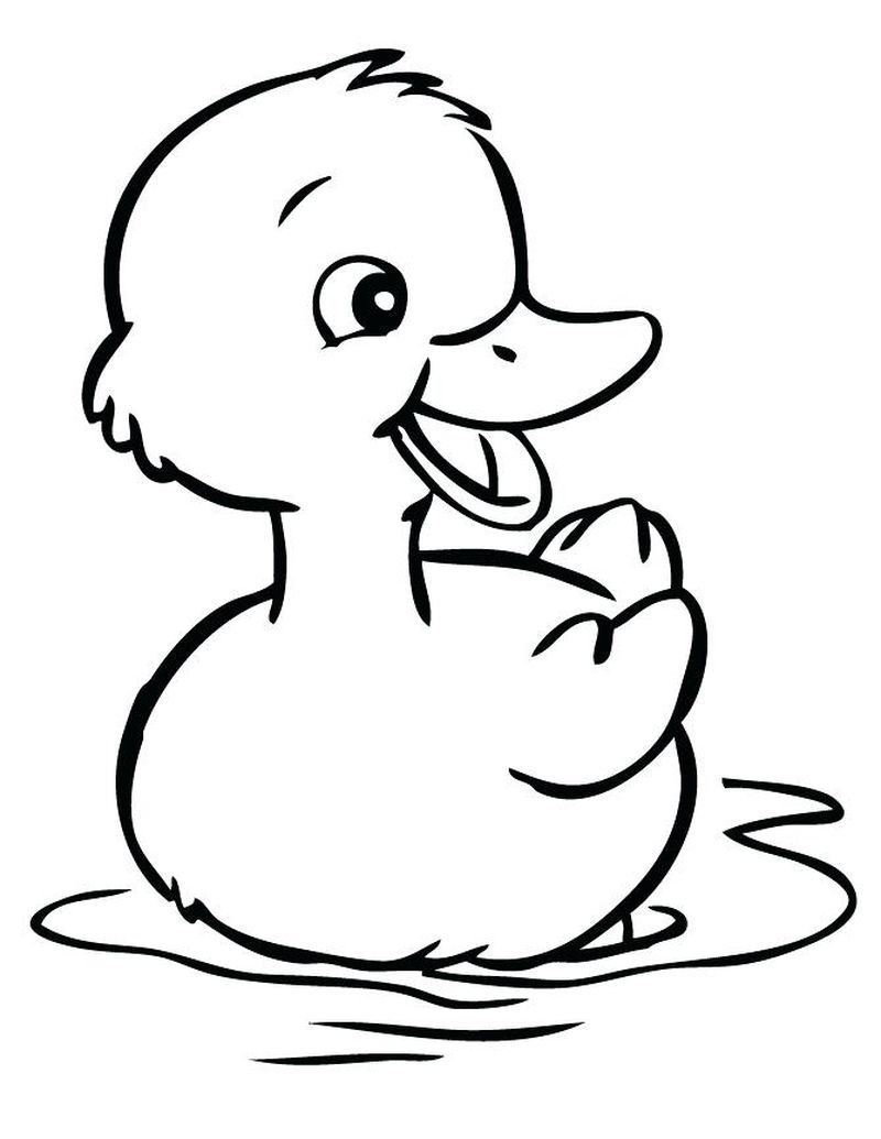 Cute Duckling Coloring Page 2 Coloring Duck Pages