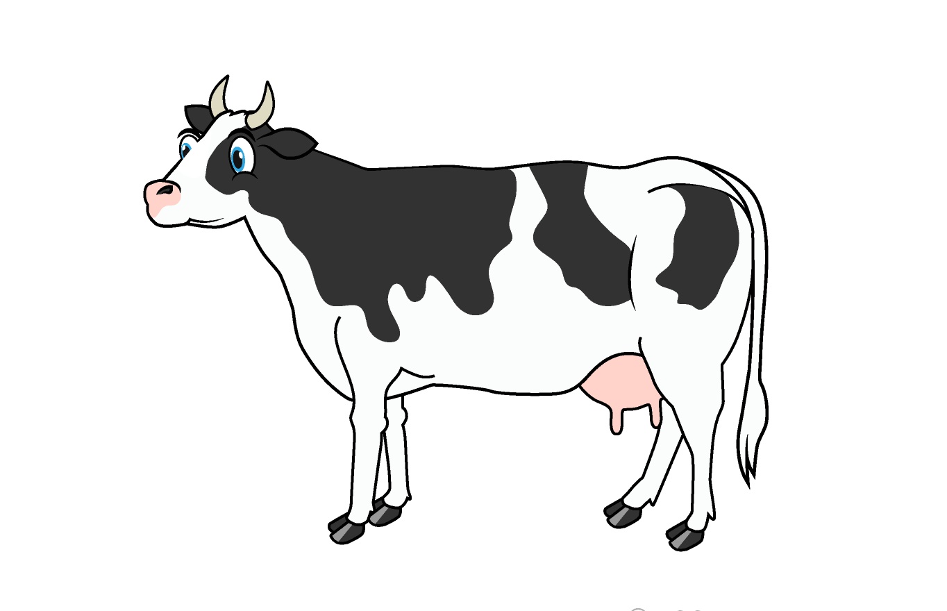 Cow Coloring Images