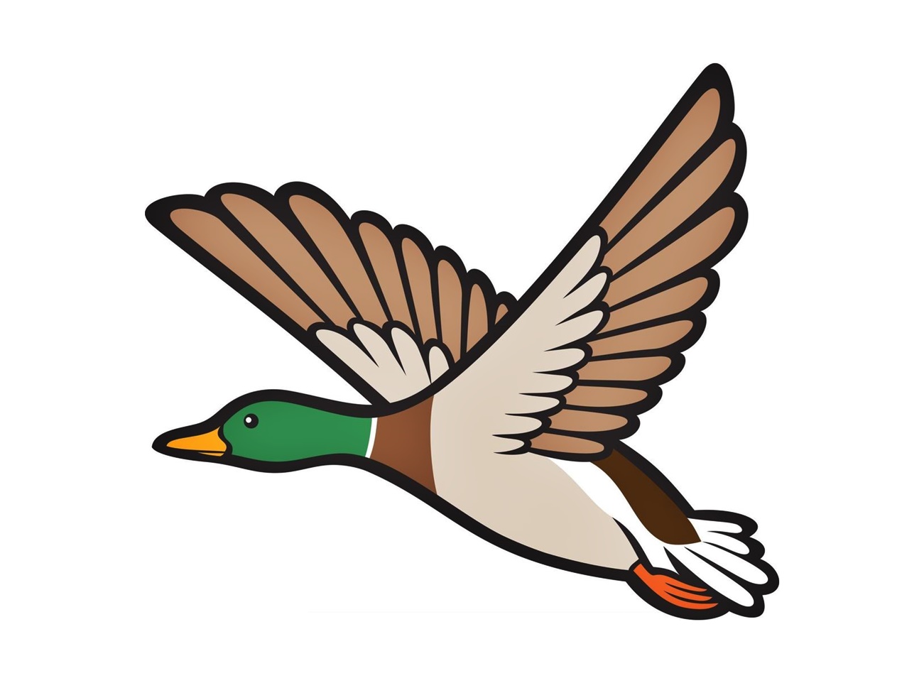Ducks Are Flying Coloring Page
