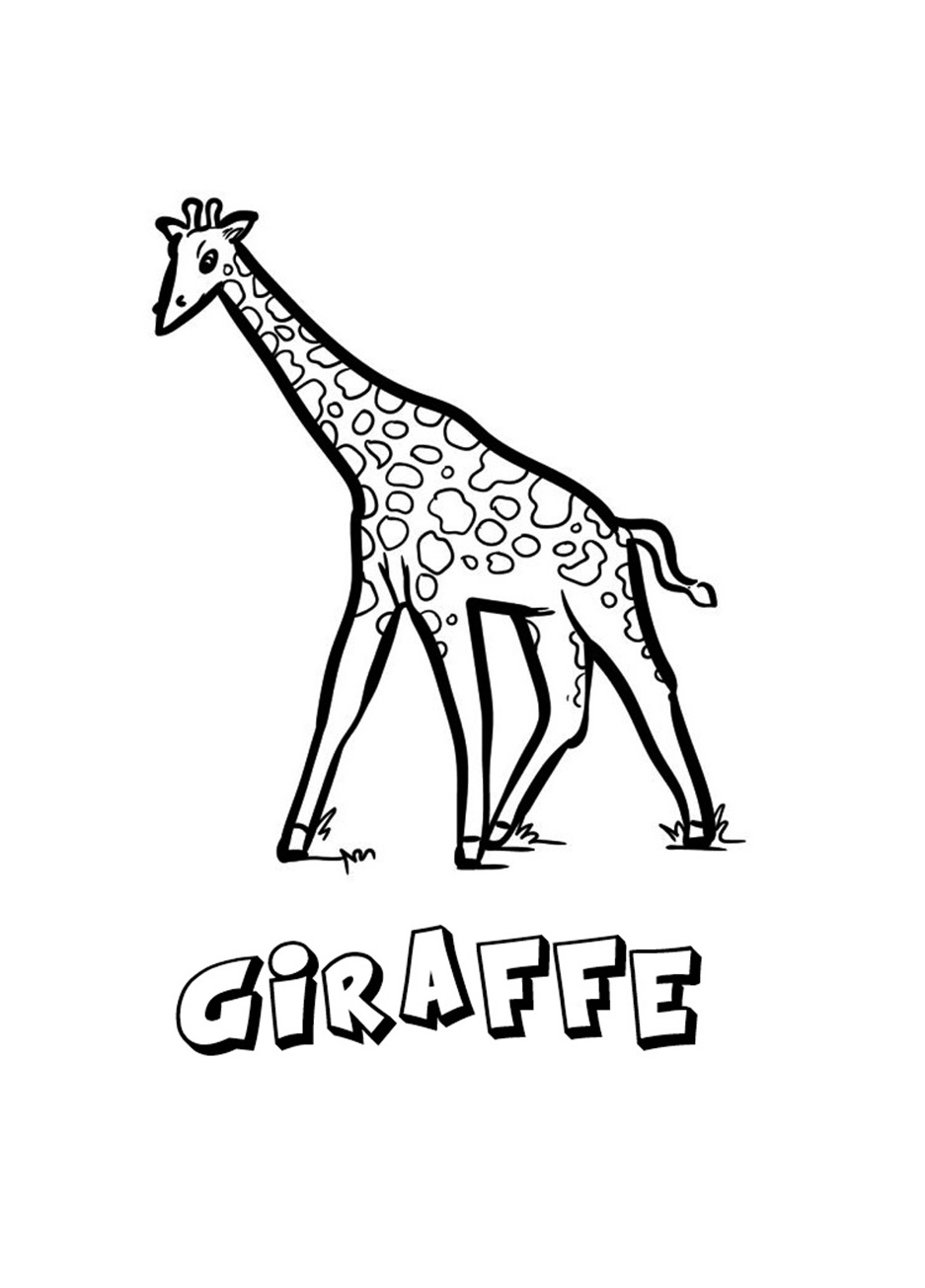 Long Neck Animals Giraffe Coloring Page 2 Giraffe Coloring Page for Kids