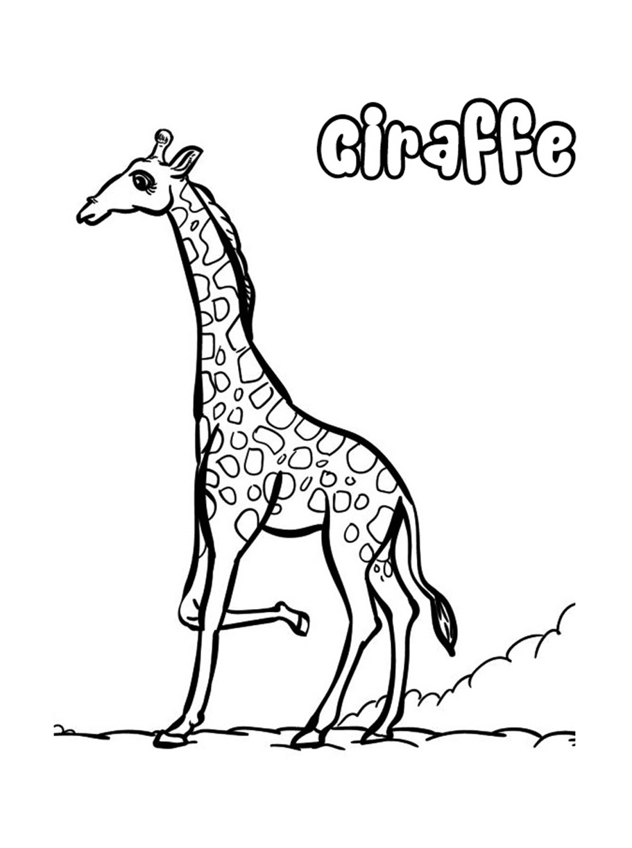 Long Neck Animals Giraffe Coloring Page 3 Giraffe Coloring Pages for kid