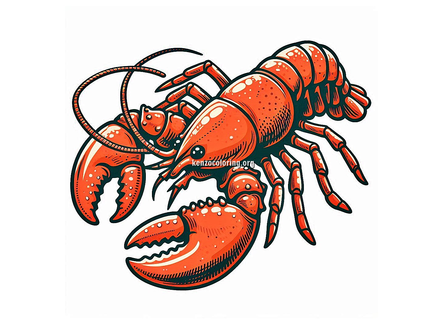 Amazing Sea Creatures, Lobster Coloring Page 4 Image a Lobster Coloring
