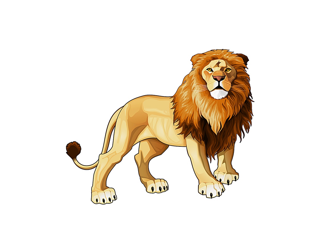 King of The Jungle Lion Coloring Page 1 Lion Coloring Page Image