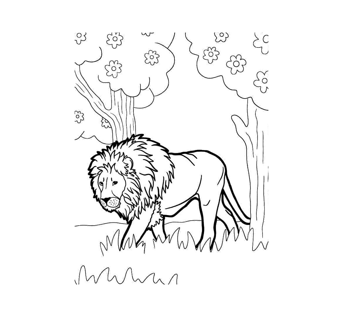 King of The Jungle Lion Coloring Page 4 Lion Coloring Pages Print