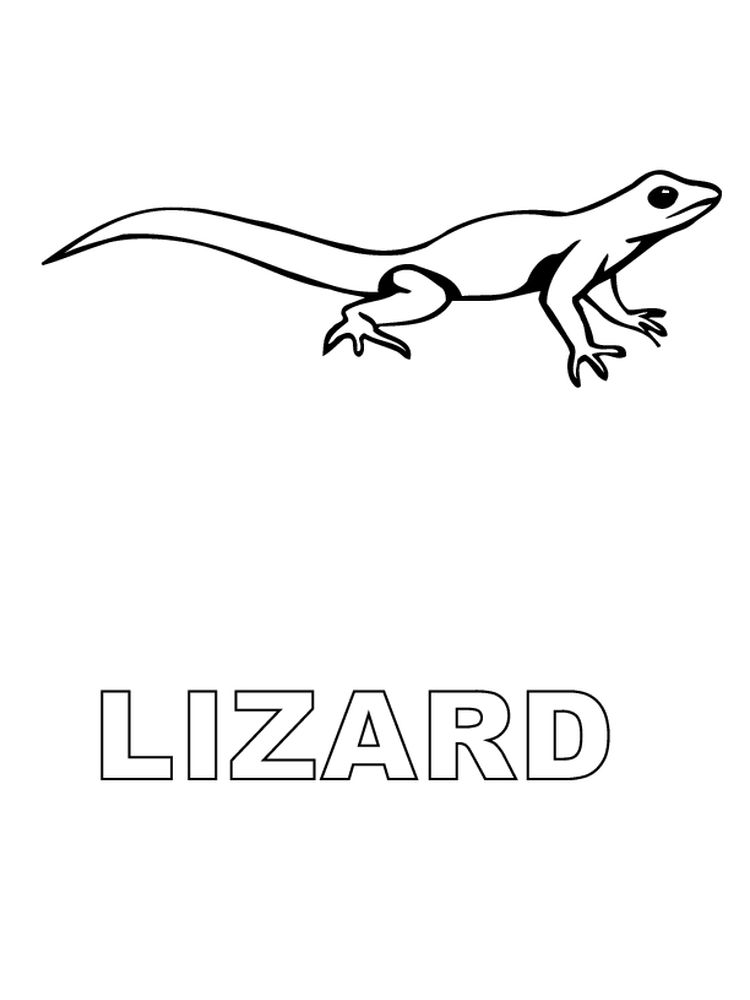 Amazing Reptiles Lizards Coloring Page 5 Lizards Printable Coloring Pages Free
