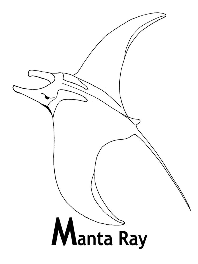 Manta Ray Coloring Page 1 Manta Ray Coloring Page Pdf