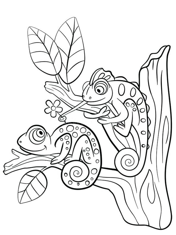 Amazing Reptiles Lizards Coloring Page 6 Printable Lizard Coloring Book Pages
