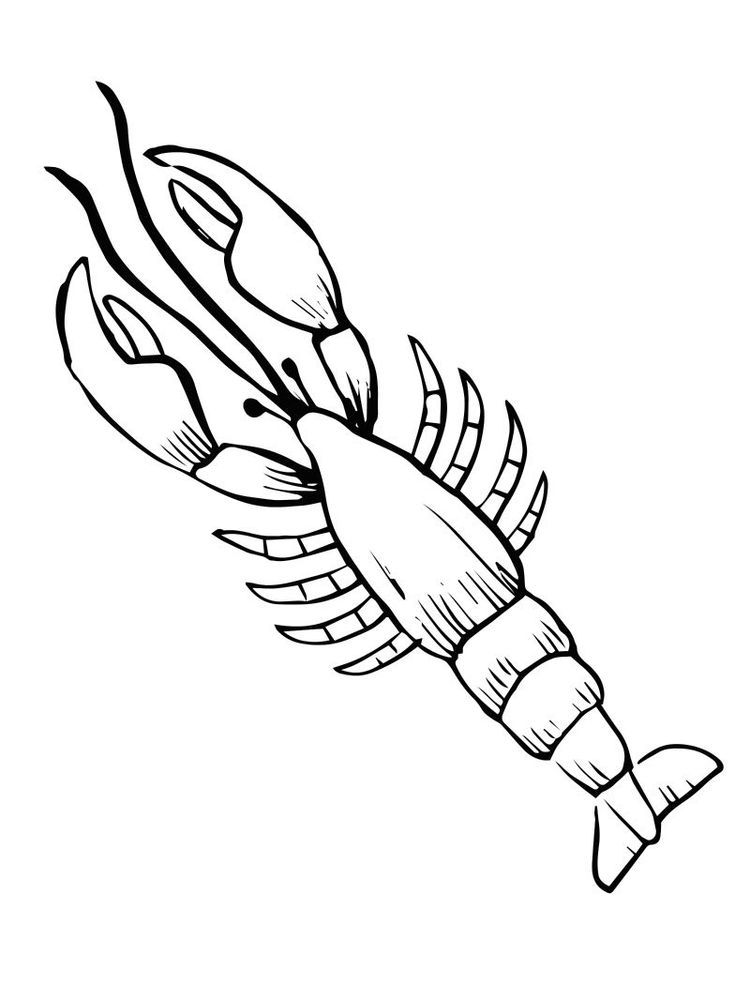 Amazing Sea Creatures, Lobster Coloring Page 2 Printable Lobster coloring pages Printable