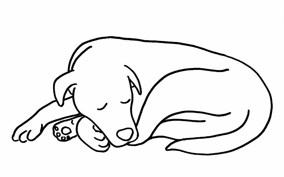 Cute Sleeping Dog Coloring Pages for Kids 6 Sleeping Dog Coloring