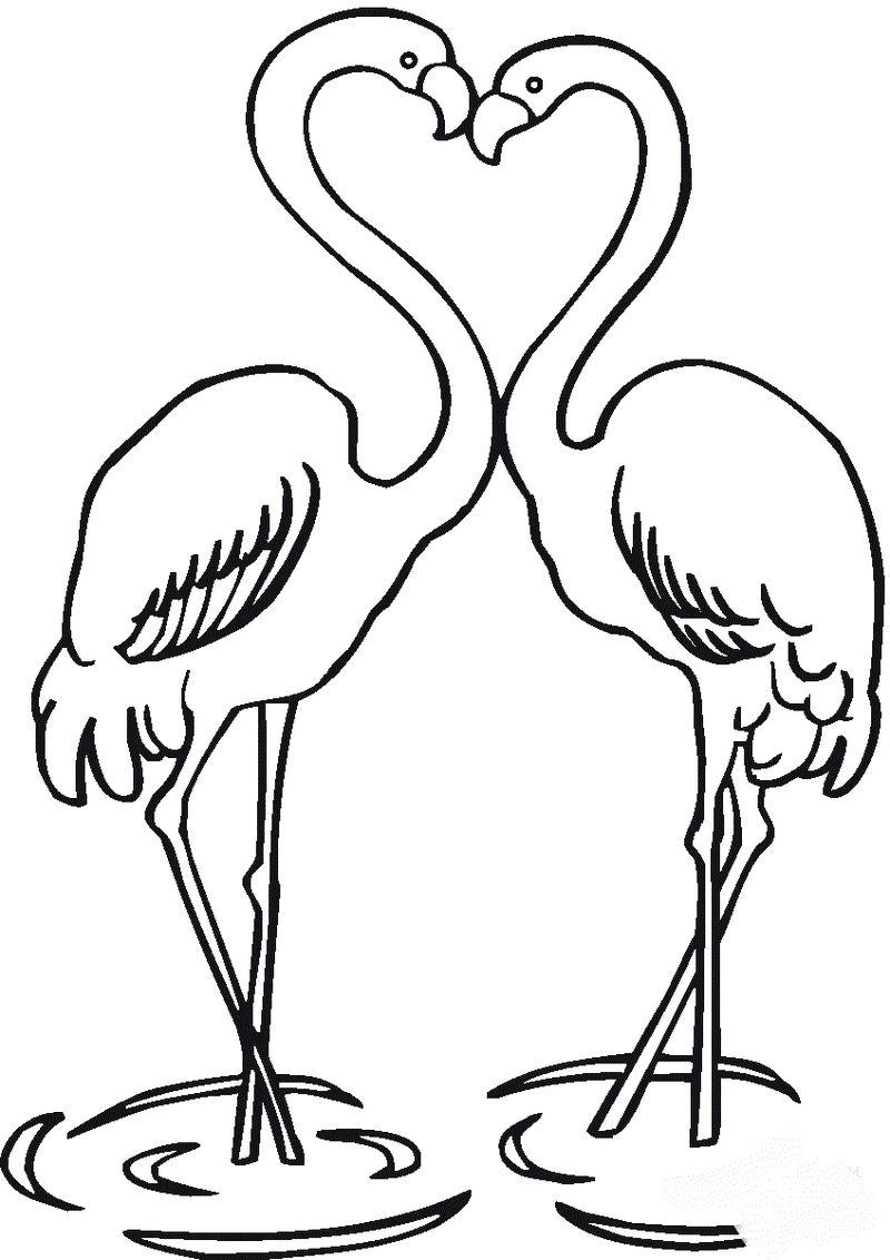 Graceful Animal Flamingo Coloring Page 4 coloring pages of cartoon flamingos