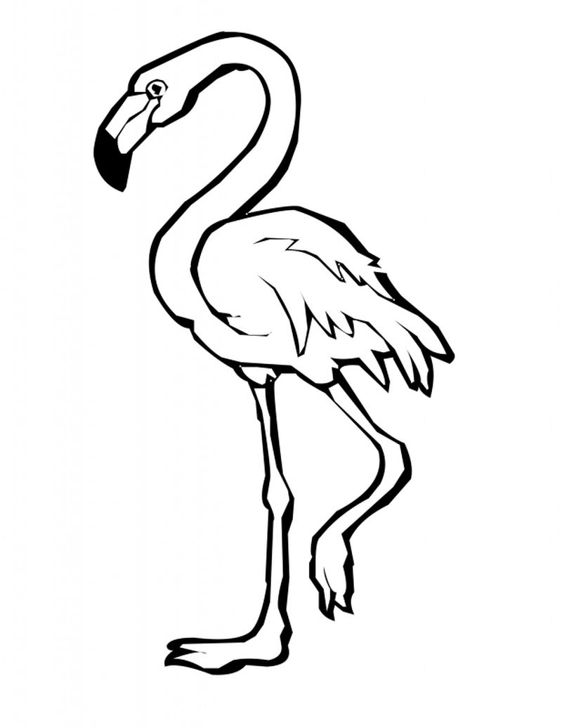 Graceful Animal Flamingo Coloring Page 5 coloring pages of flamingos