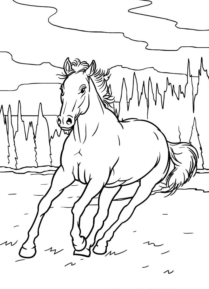 Animals That Like to Run, Horse Coloring Page 2 horse coloring page to print