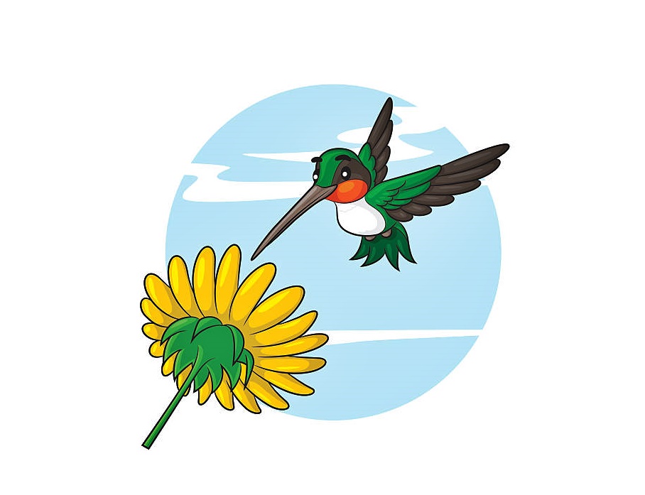 Energetic Little Bird Hummingbird Coloring Page 3 cartoon hummingbird image