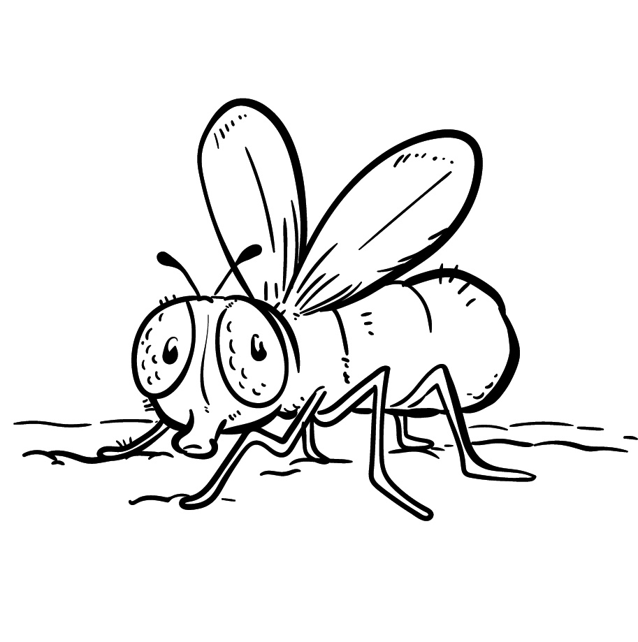 Insect Coloring Page for Kids 5 insect coloring page to print
