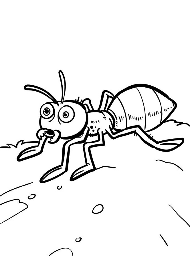 Insect Coloring Page for Kids 6 insect coloring page