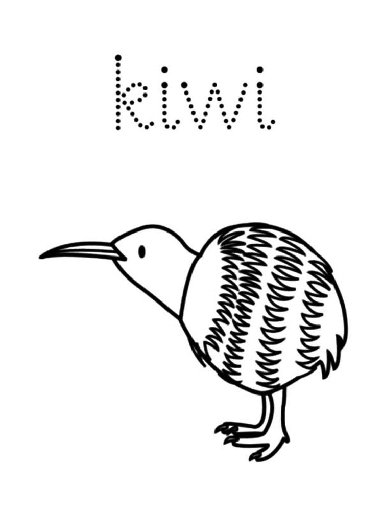 Kiwi Animal Coloring Page 4 printable Kiwi animal coloring pages