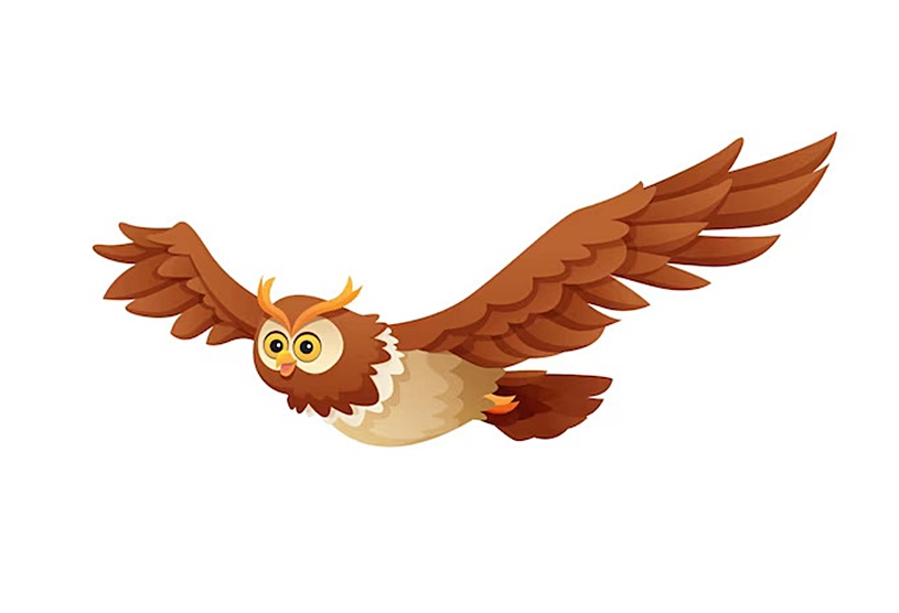 owl pages coloring image