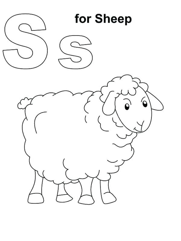 Sheep Coloring Page 1 Download Free Printable Coloring Pages Of Sheep