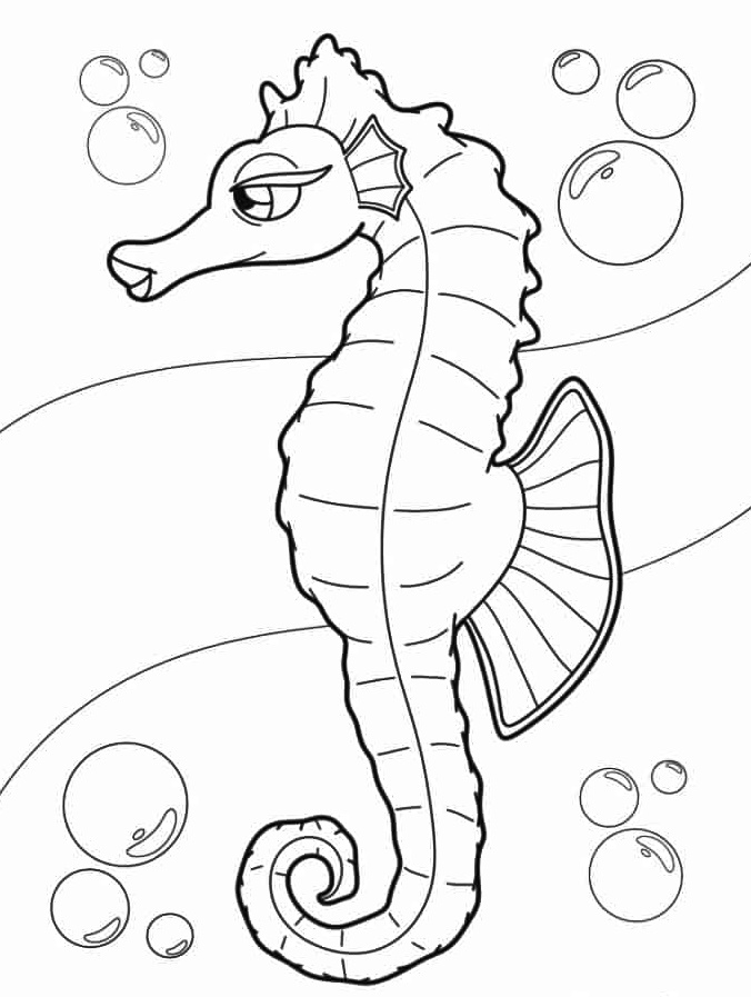 Dive into a Magical Underwater World with Seahorses Coloring Page 3 Free Seahorse Coloring Page