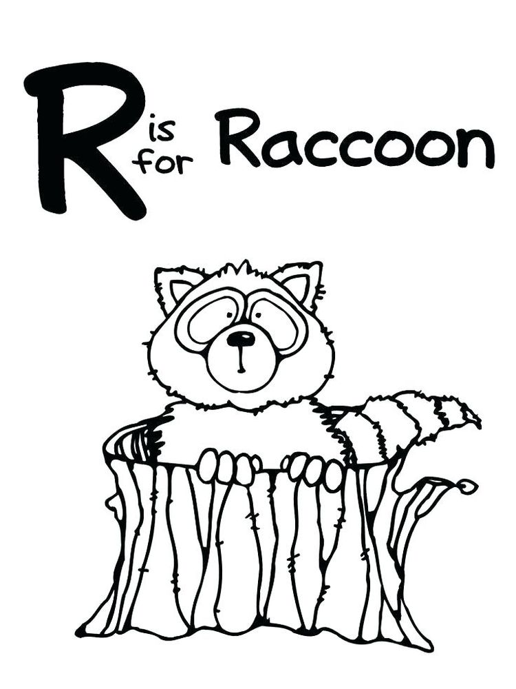 Welcome to the Raccoon Coloring Page 3 Printable Baby Raccoon Coloring Page Free