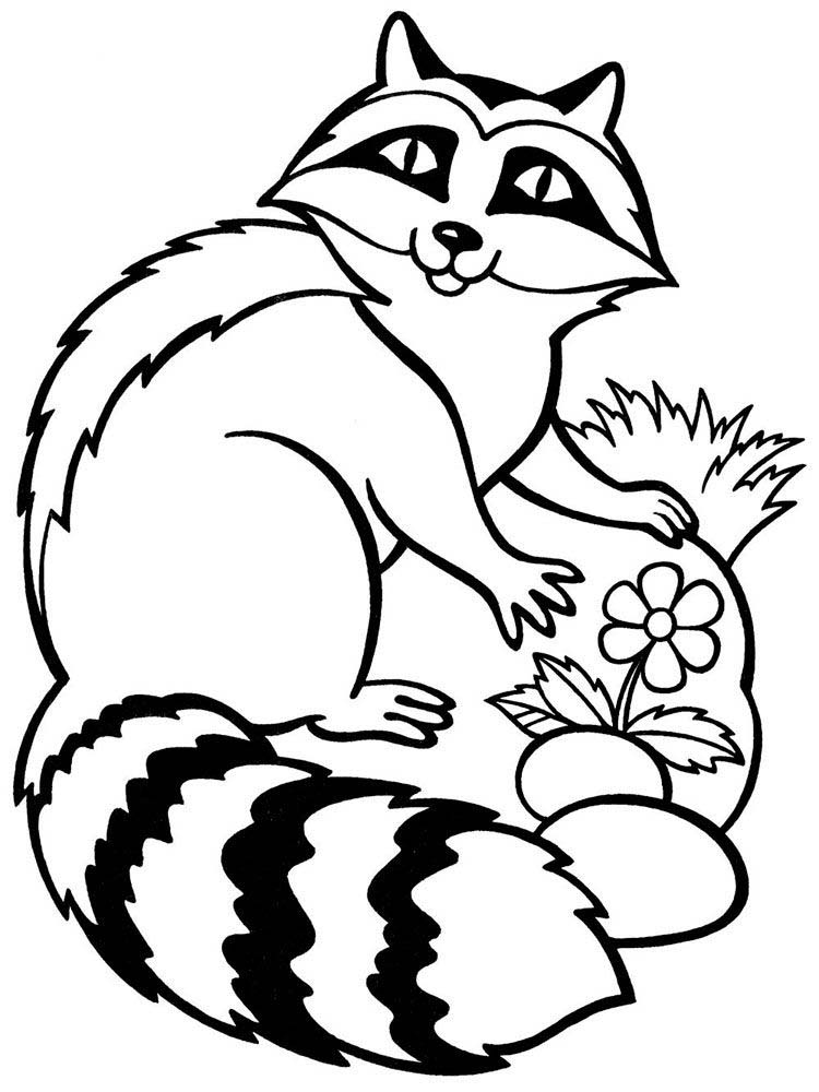 Welcome to the Raccoon Coloring Page 4 Printable Coloring Page Of A Racoon
