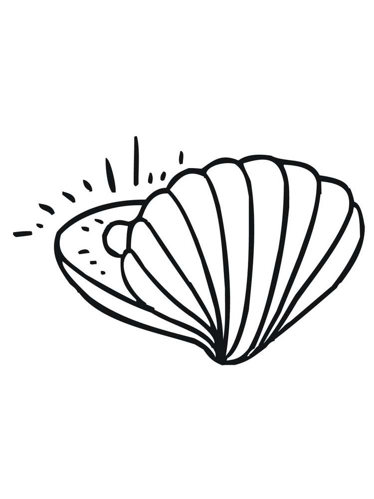Welcome to the Shell Coloring Page 2 Printable Coloring Page Of A Shell