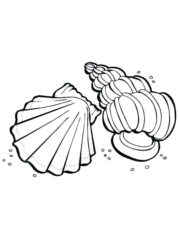 Welcome to the Shell Coloring Page 3 Printable Coloring Page Of Sea Shell