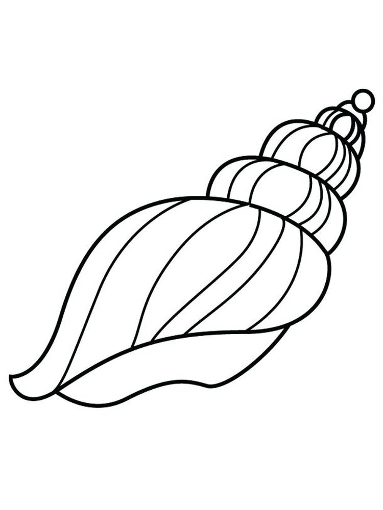 Welcome to the Shell Coloring Page 4 Printable Of Shell Coloring Page