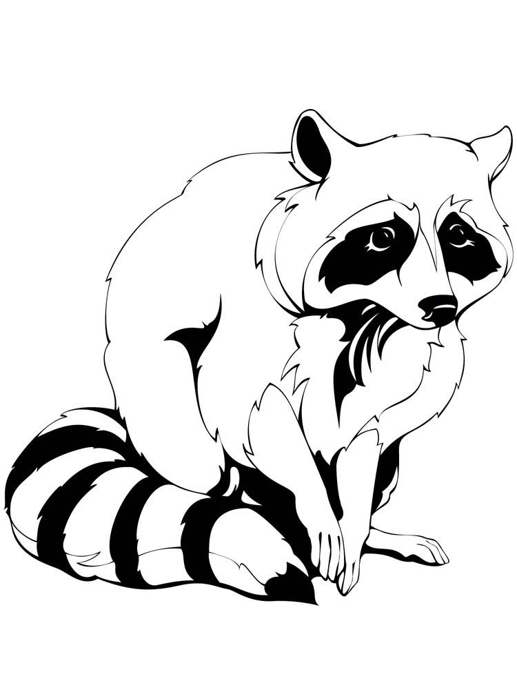 Welcome to the Raccoon Coloring Page 5 Printable Coloring Page Of A Racoon