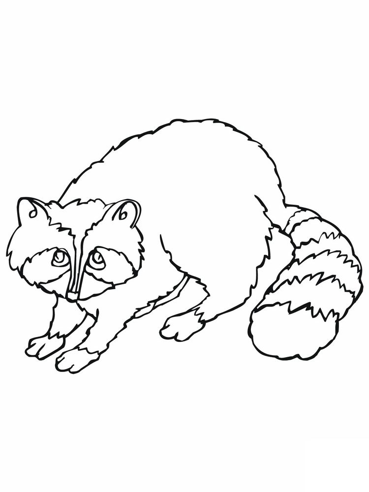 Welcome to the Raccoon Coloring Page 6 Printable Raccoon Head Coloring Page