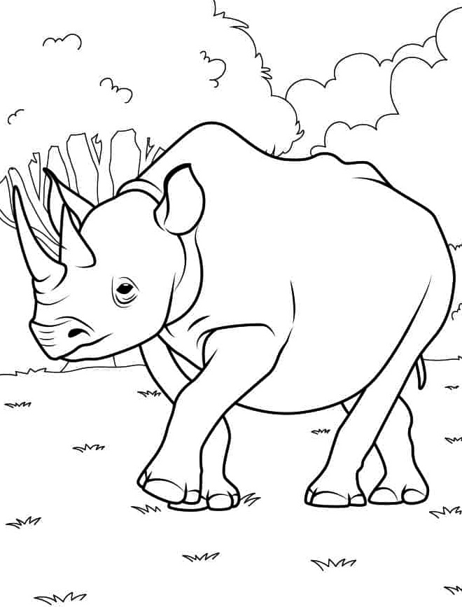 Strongest and Most Impressive Animals, Rhinoceros Coloring Page 4 Printable Rhino Coloring Page Print