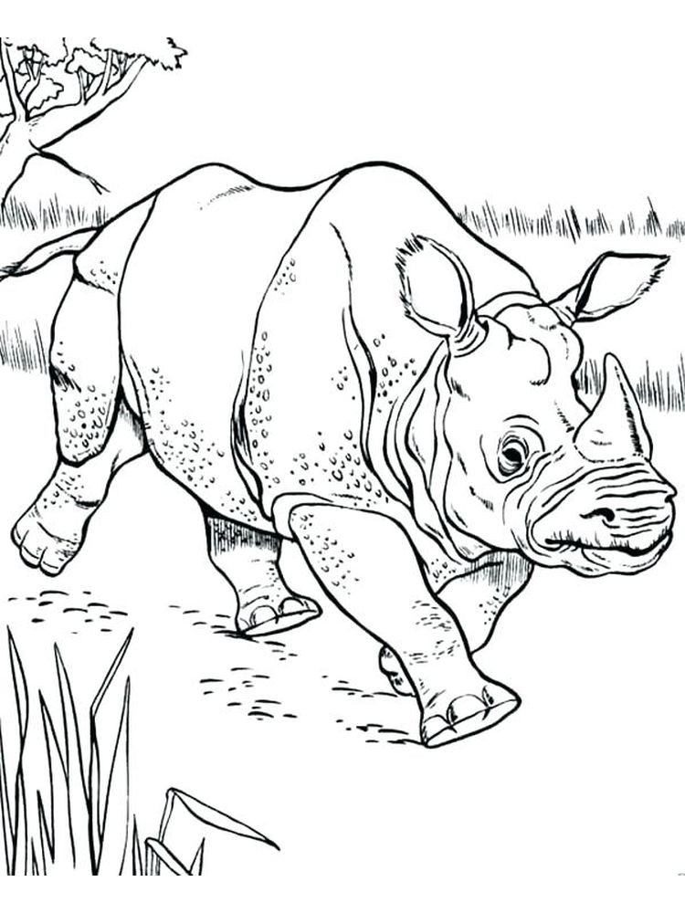 Strongest and Most Impressive Animals, Rhinoceros Coloring Page 6 Printable Rhinoceros Beetle Coloring Page