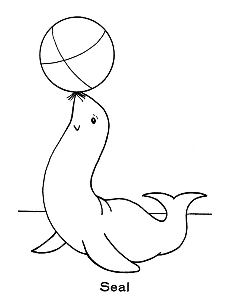 Splash into Fun with a Playful Seal Coloring Page 2 Printable Seal Colouring In Pages