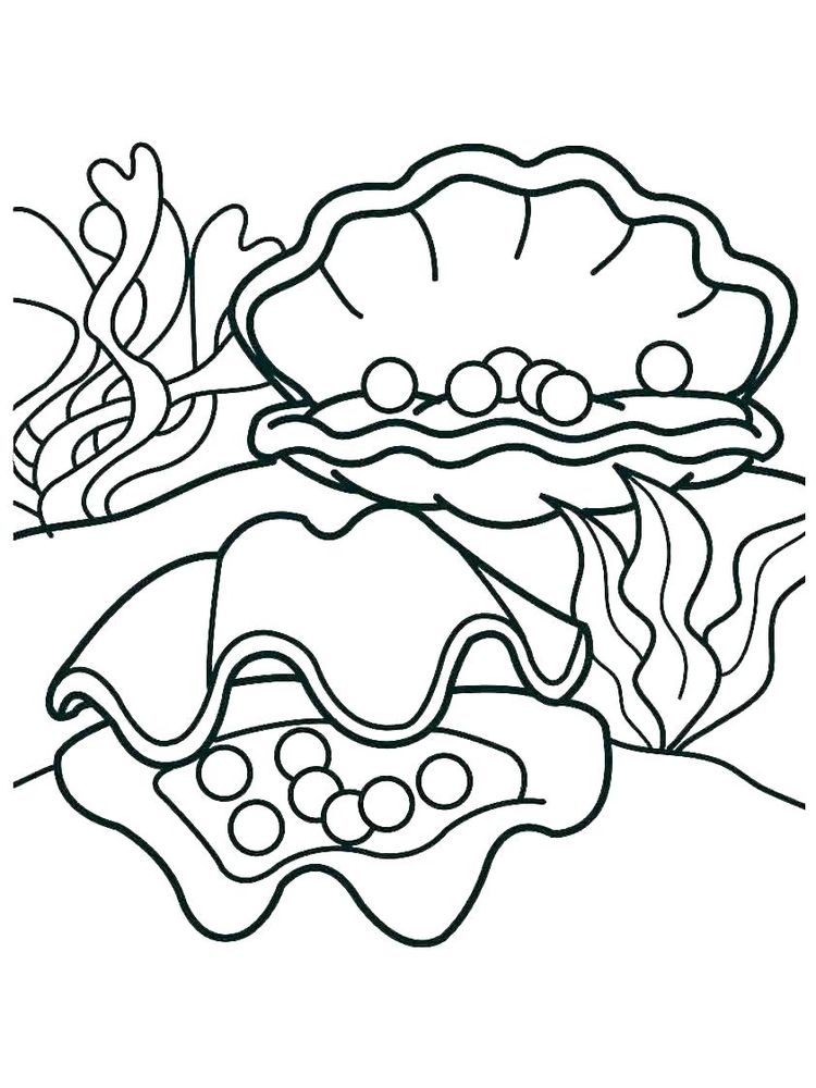 Welcome to the Shell Coloring Page 5 Printable Shell Coloring Pages