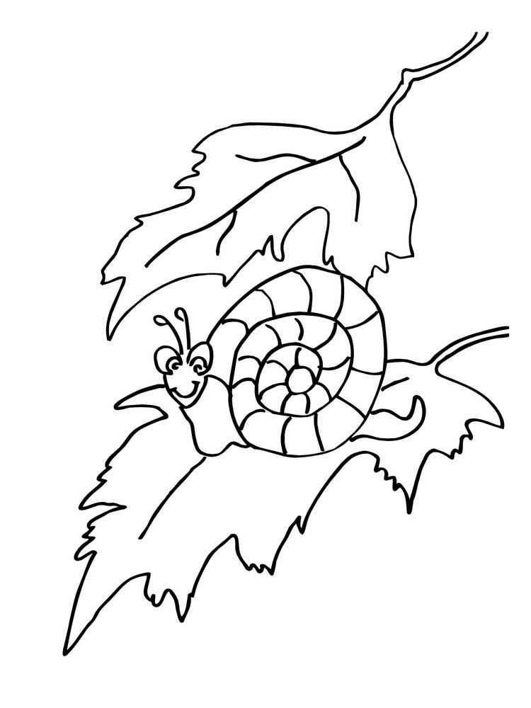 Say Hello to the Slow and Sweet Snail Coloring Pages 5 Printable Snail Coloring Pages Printable