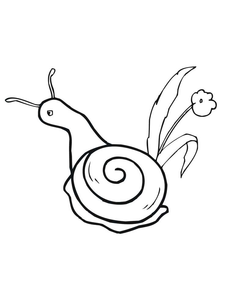 Say Hello to the Slow and Sweet Snail Coloring Pages 6 Printable Snail Coloring Pages