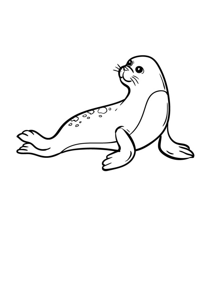Splash into Fun with a Playful Seal Coloring Page 4 Seal Coloring Pages Kenzocoloring