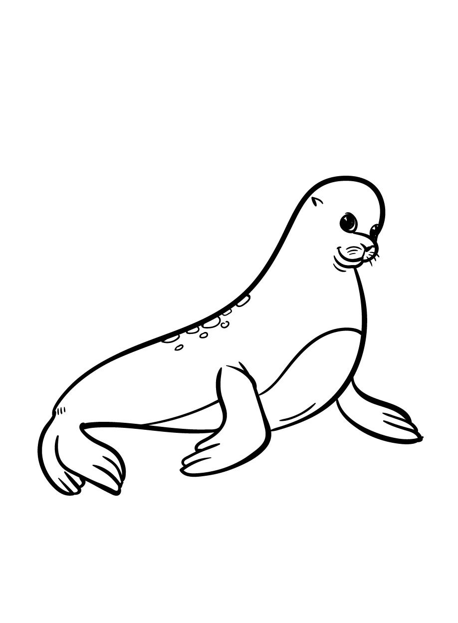 Splash into Fun with a Playful Seal Coloring Page 5 Seal Coloring Pages
