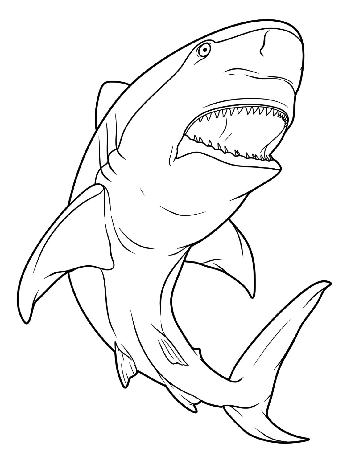 Dive into Adventure with a Mighty Shark Coloring Page 2 Shark Coloring pages download