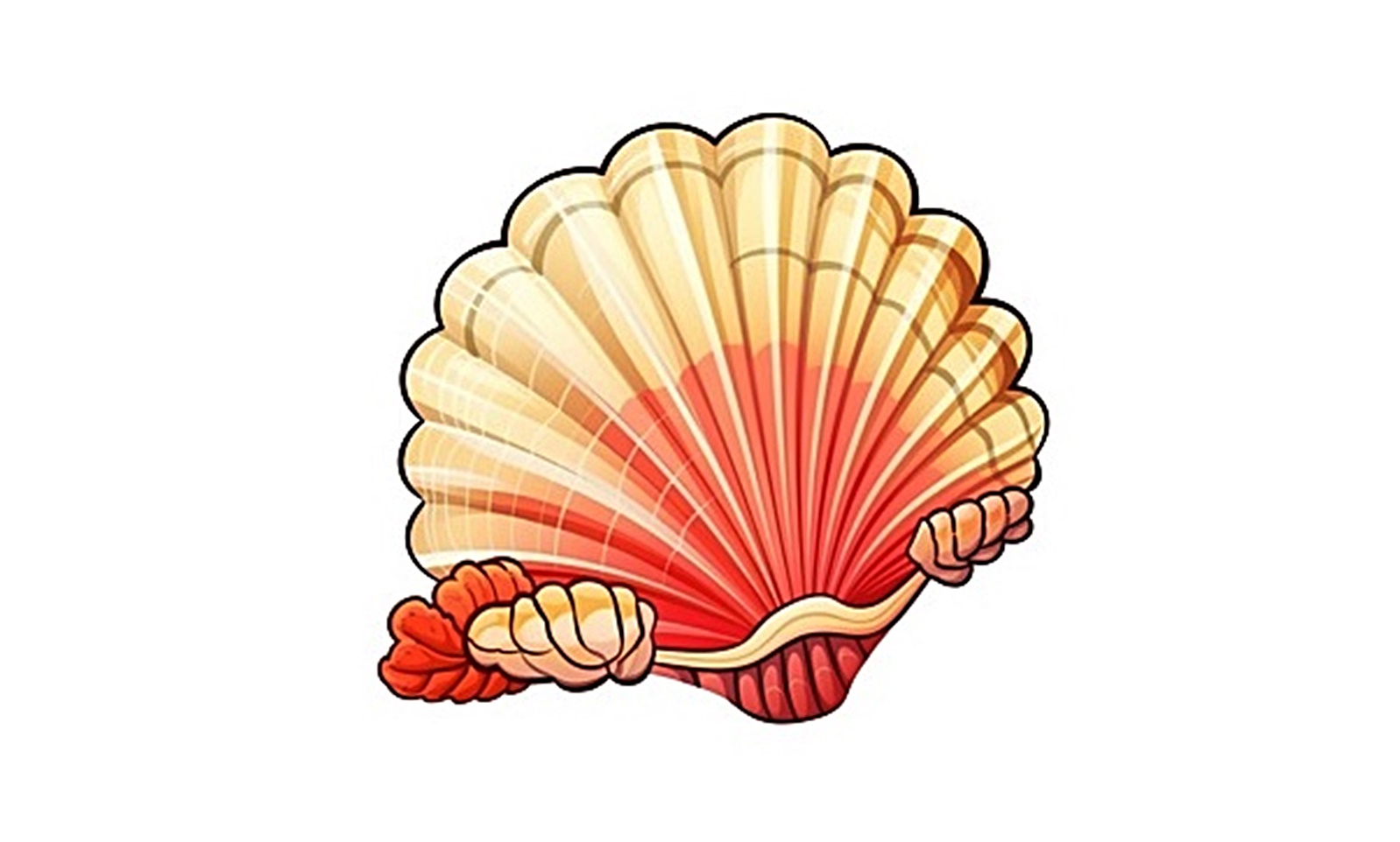 Welcome to the Shell Coloring Page 1 Shell Coloring image