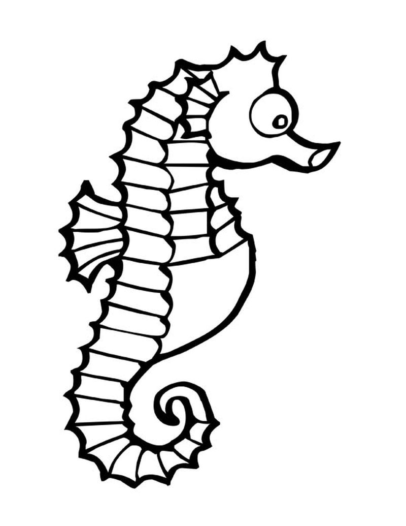 Dive into a Magical Underwater World with Seahorses Coloring Page 6 Small Seahorse Coloring Pages
