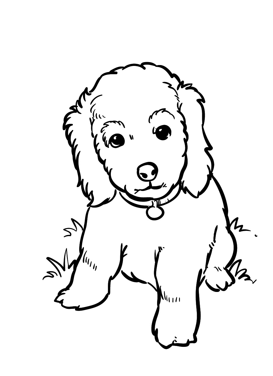 Cute Puppy Coloring Page 5 cute puppy coloring
