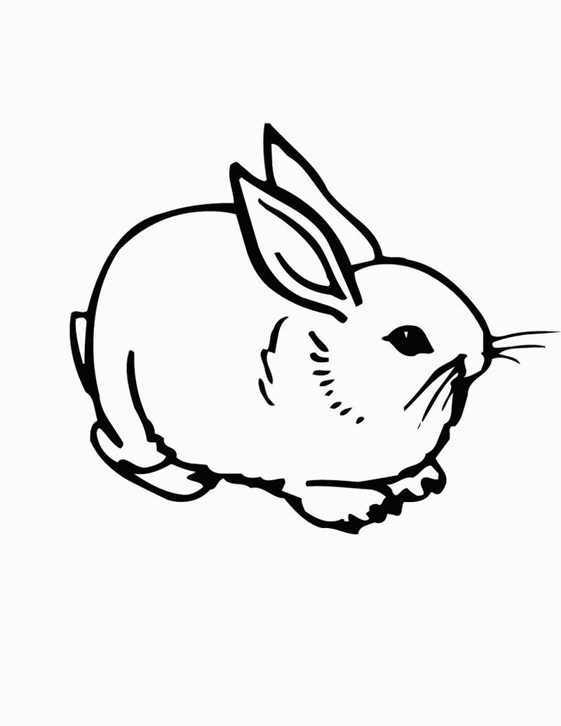 Rabbit Coloring Pages for Kids 4 cute rabbit coloring pages