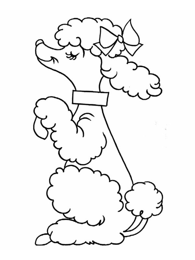 Cute Curly Poodle Coloring Page 1 free poodle coloring page pdf