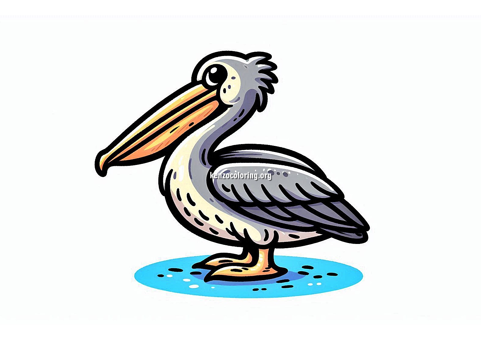Let’s Color a Wonderful Pelican 1 image a pelican coloring